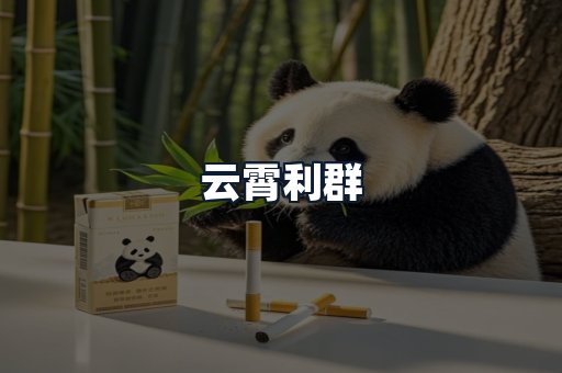 云霄利群